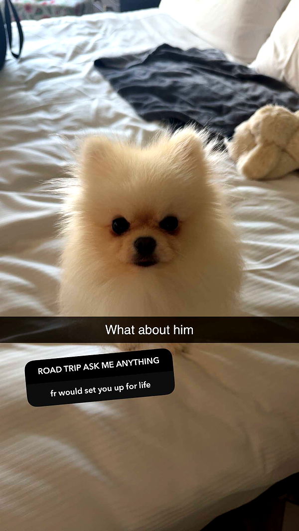 graceboor image ~ Altpins