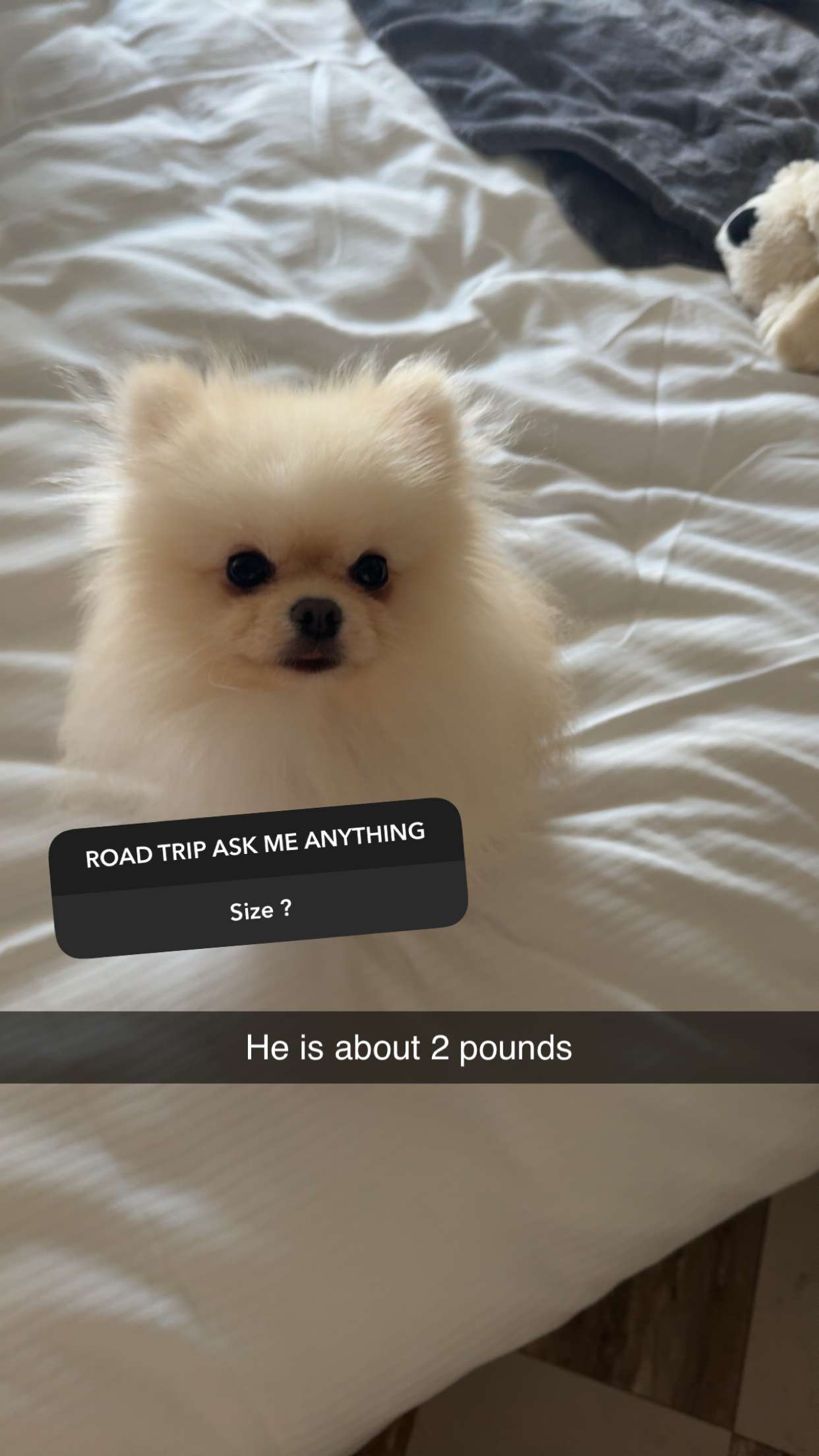 graceboor snapchat image archive image