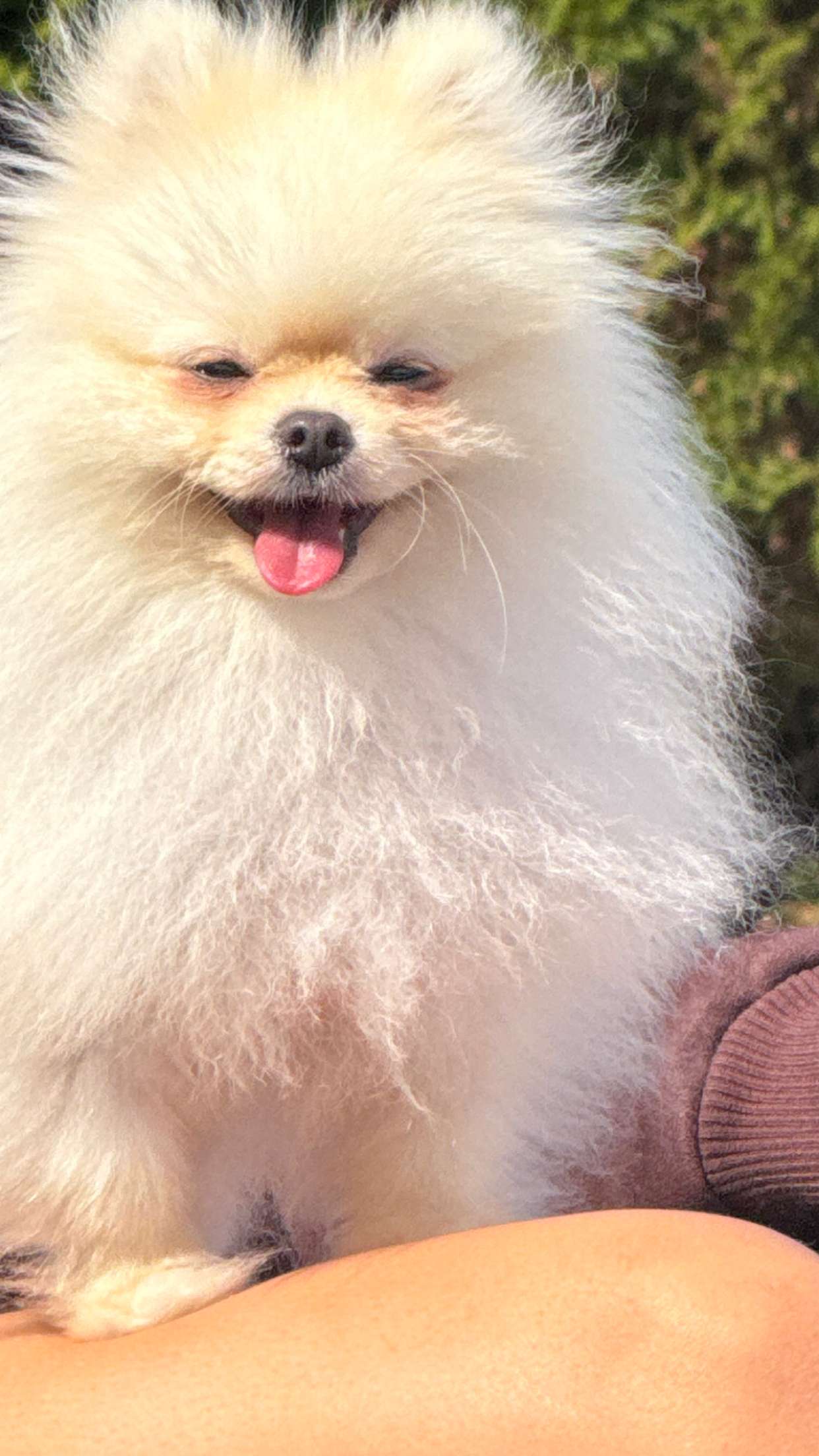 graceboor snapchat image archive image