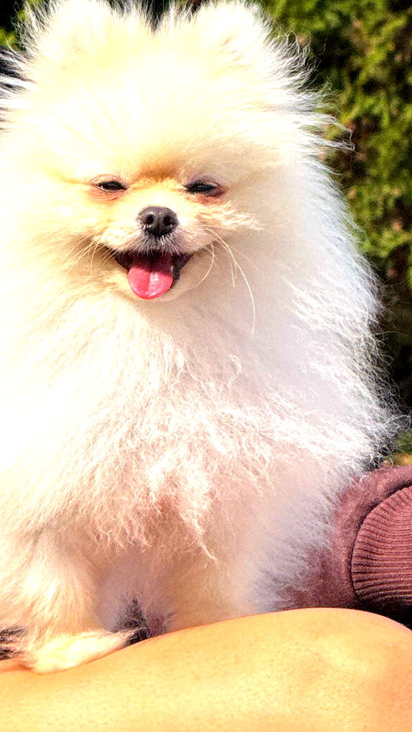 graceboor image ~ Altpins