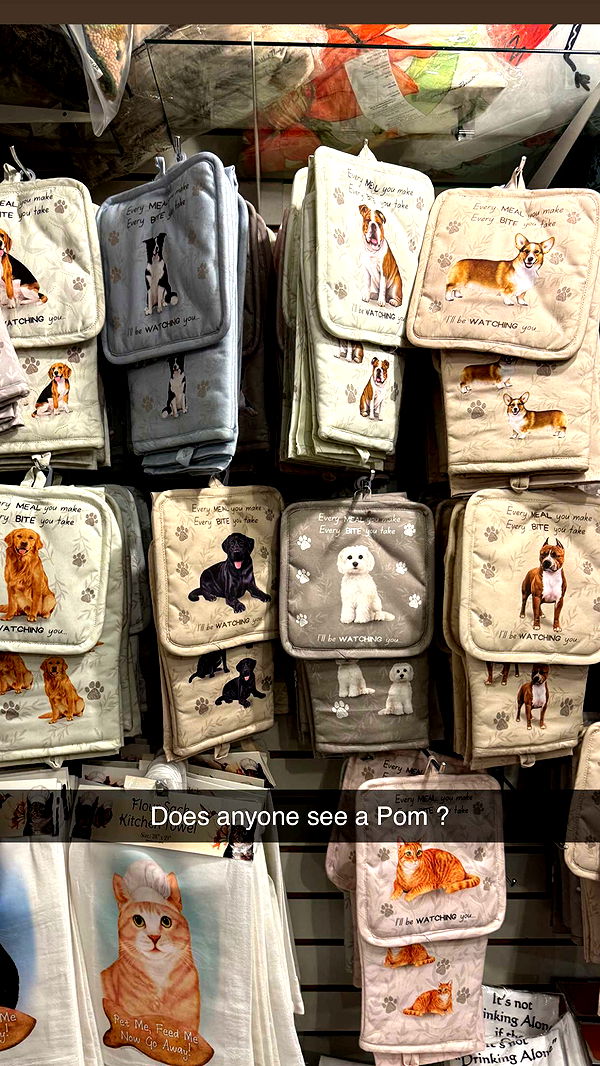 graceboor image ~ Altpins