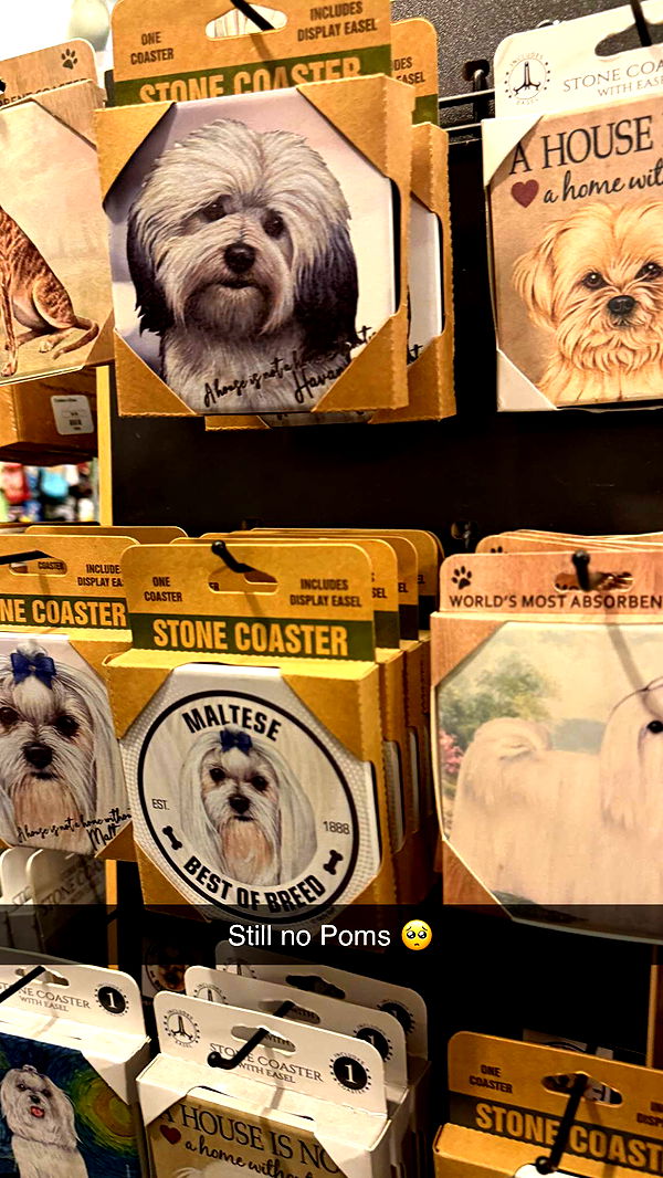 graceboor image ~ Altpins