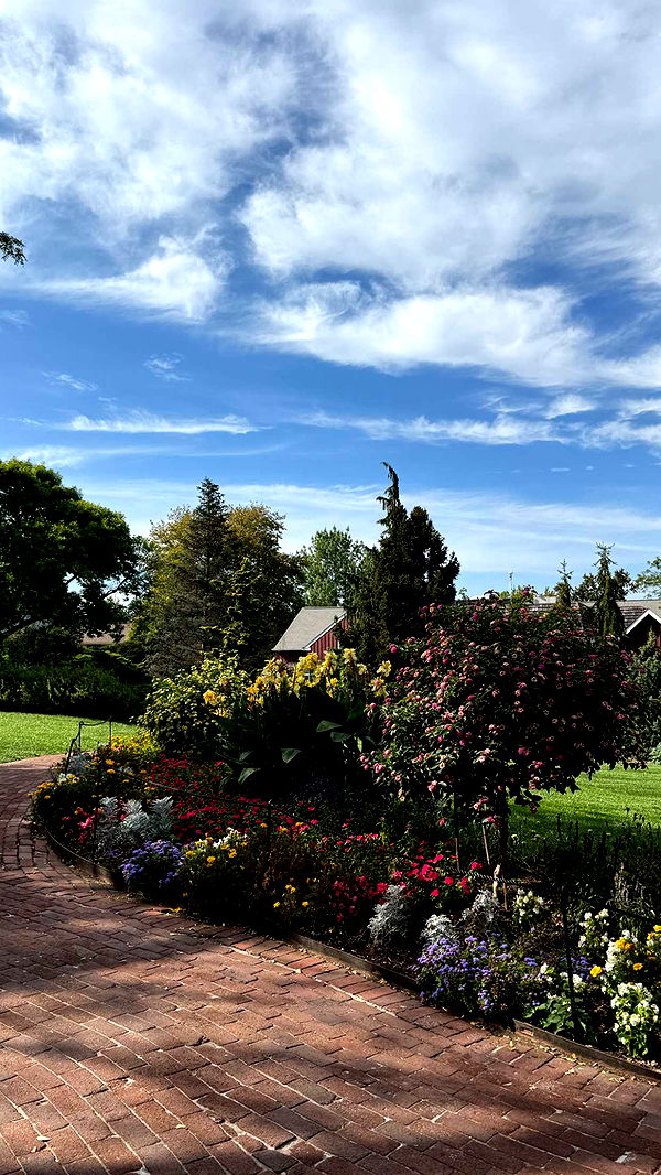 graceboor image ~ Altpins