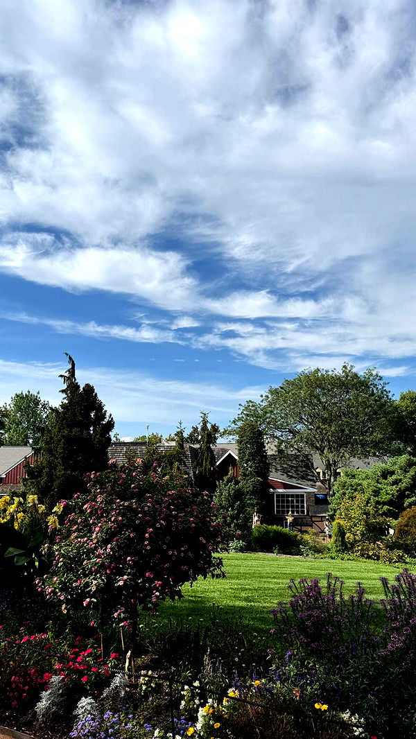 graceboor image ~ Altpins