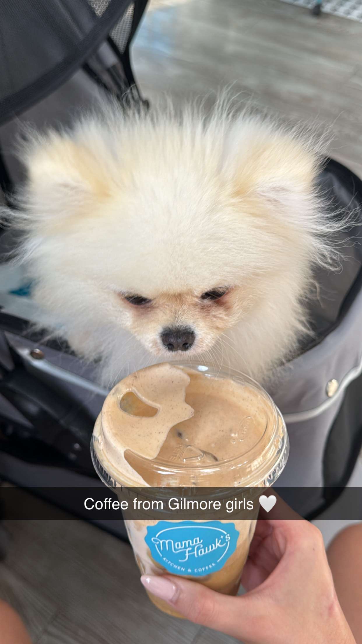 graceboor snapchat image archive image