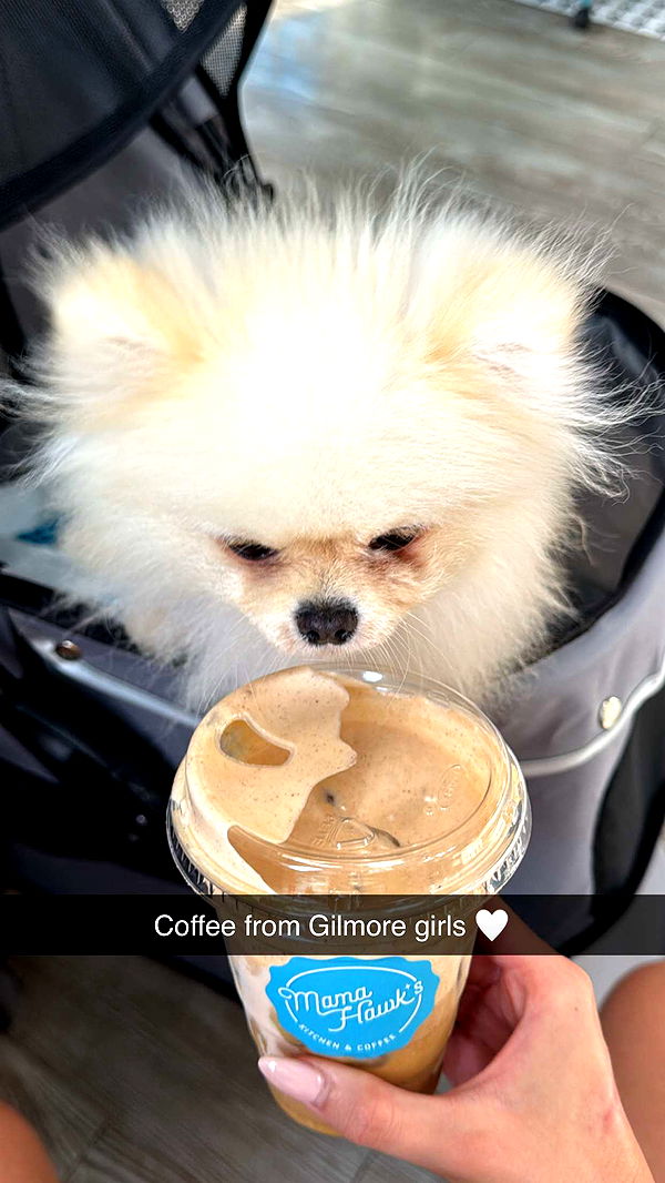 graceboor image ~ Altpins