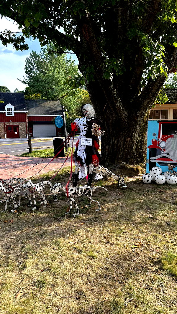 graceboor image ~ Altpins