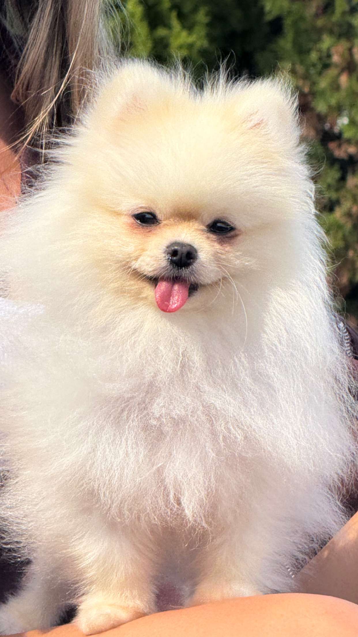 graceboor snapchat image archive image