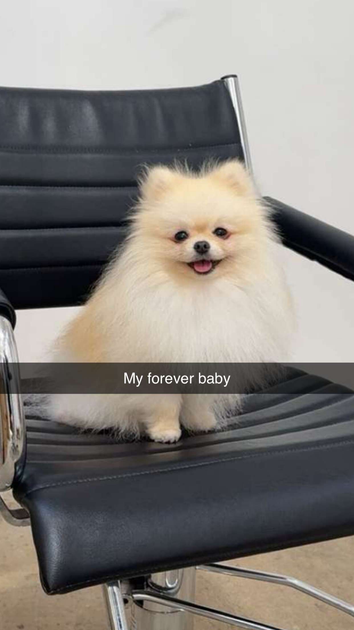 graceboor snapchat image archive image