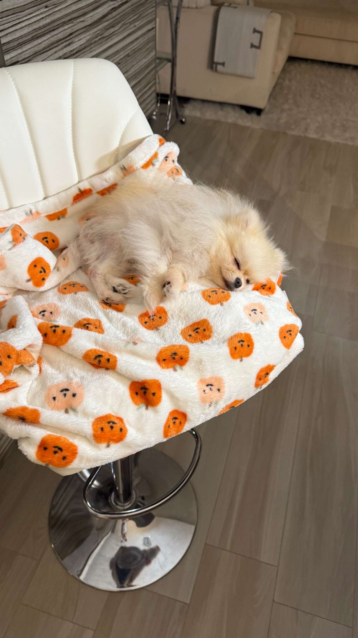 graceboor snapchat image archive image