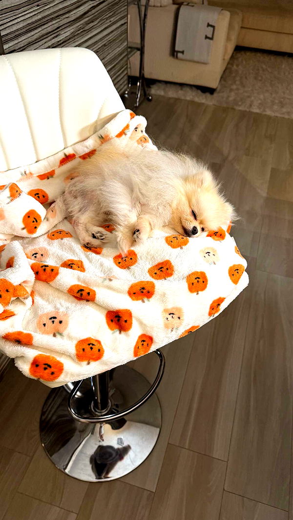 graceboor image ~ Altpins