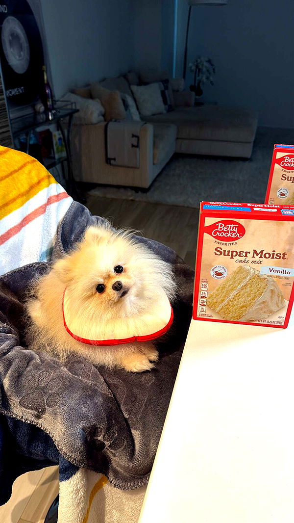 graceboor image ~ Altpins