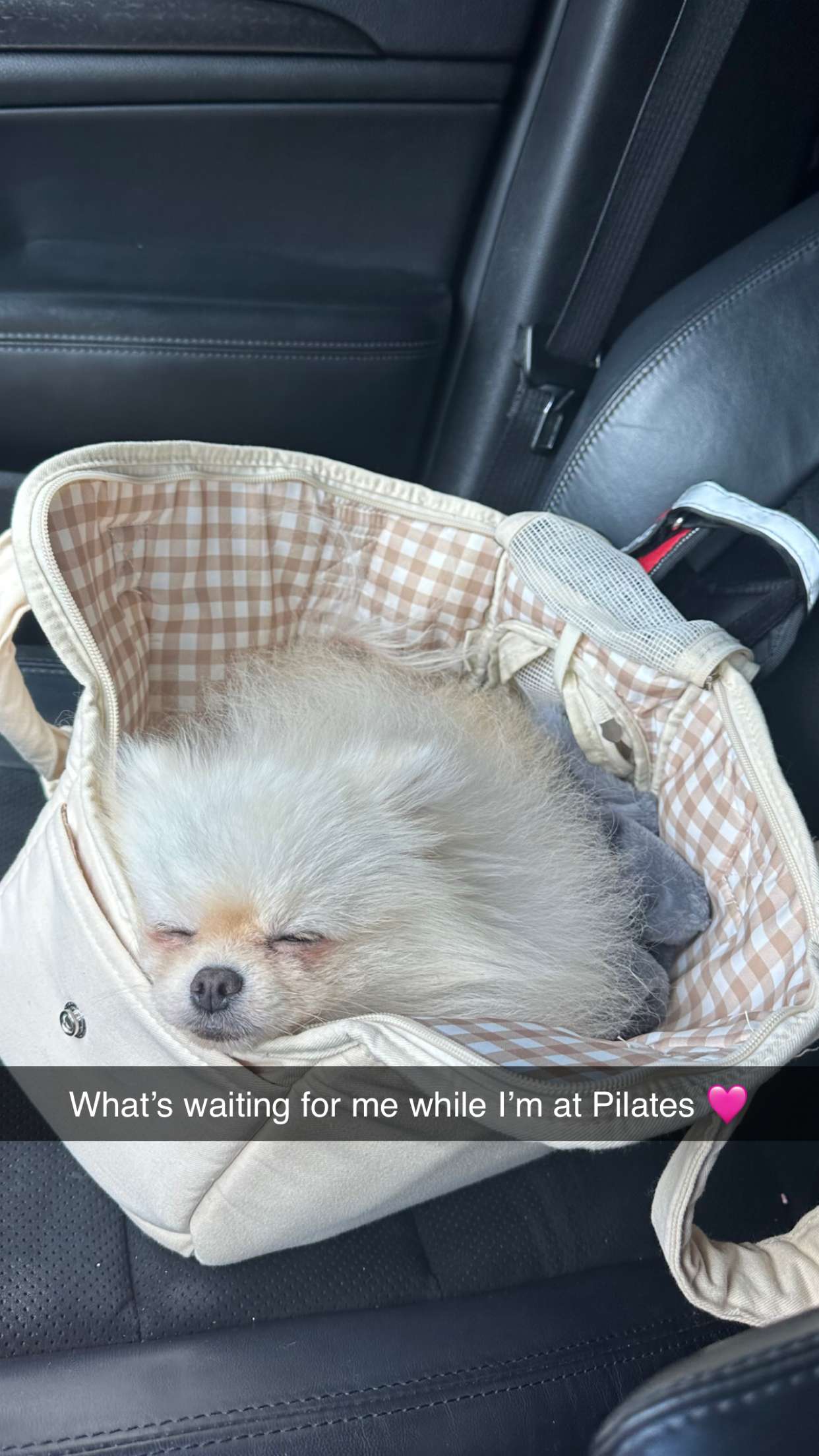 graceboor snapchat image archive image