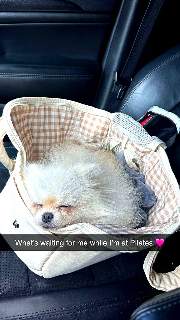 graceboor image ~ Altpins