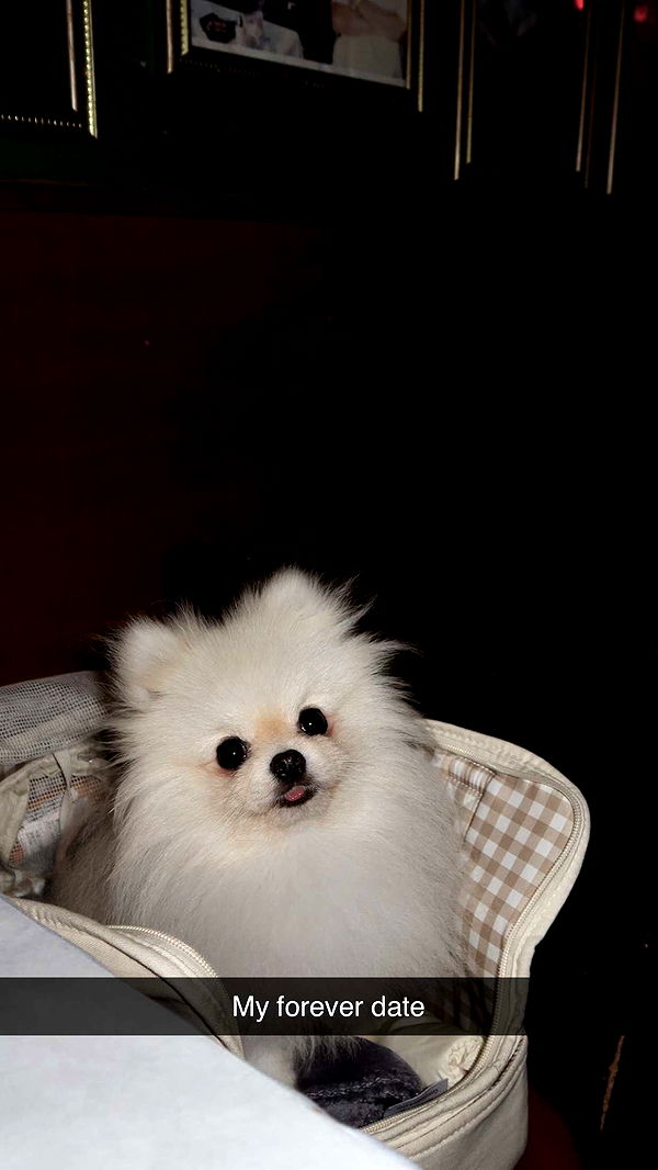 graceboor image ~ Altpins