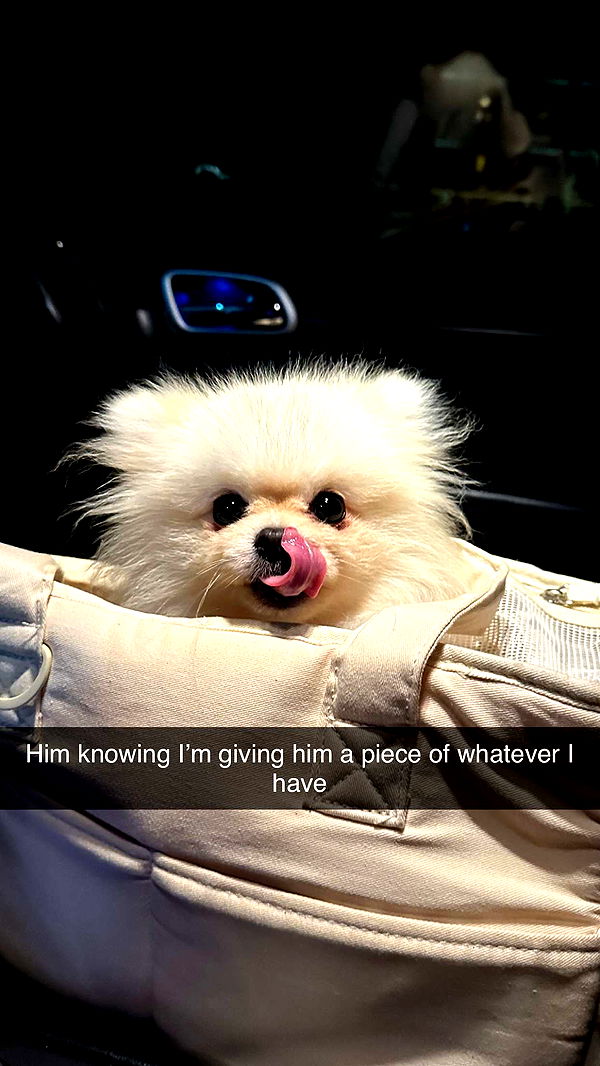 graceboor image ~ Altpins