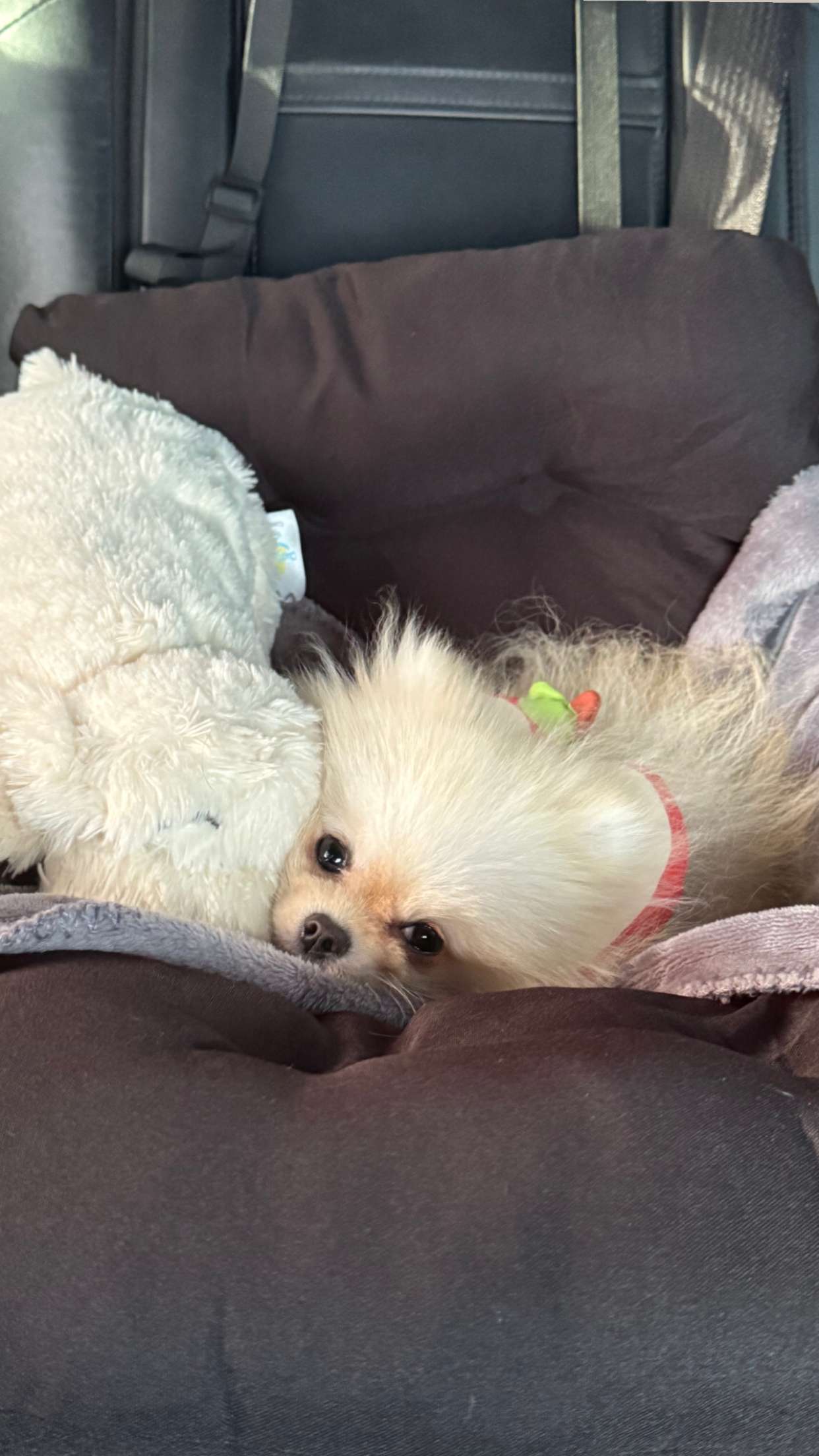 graceboor snapchat image archive image