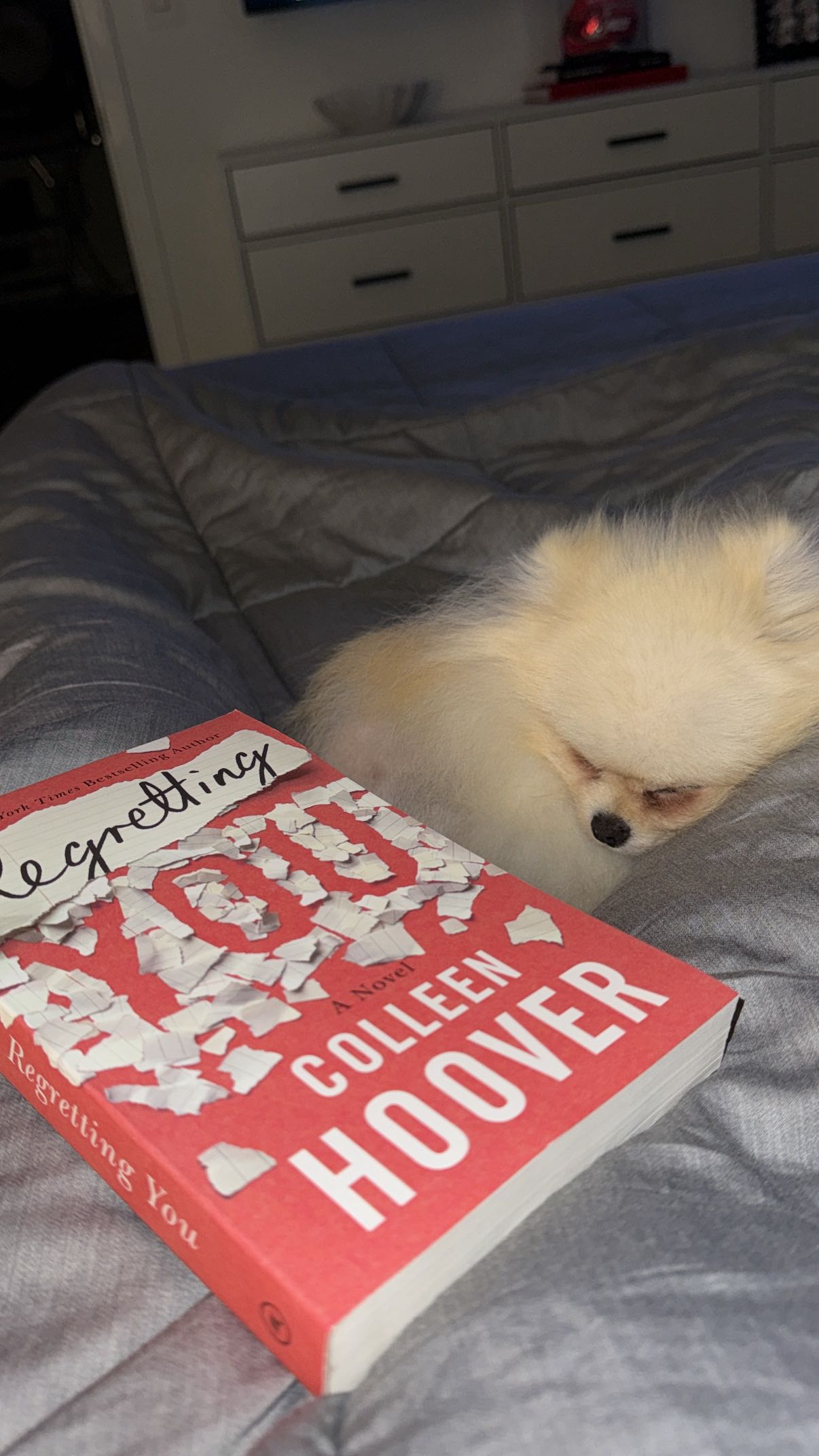 graceboor snapchat image archive image