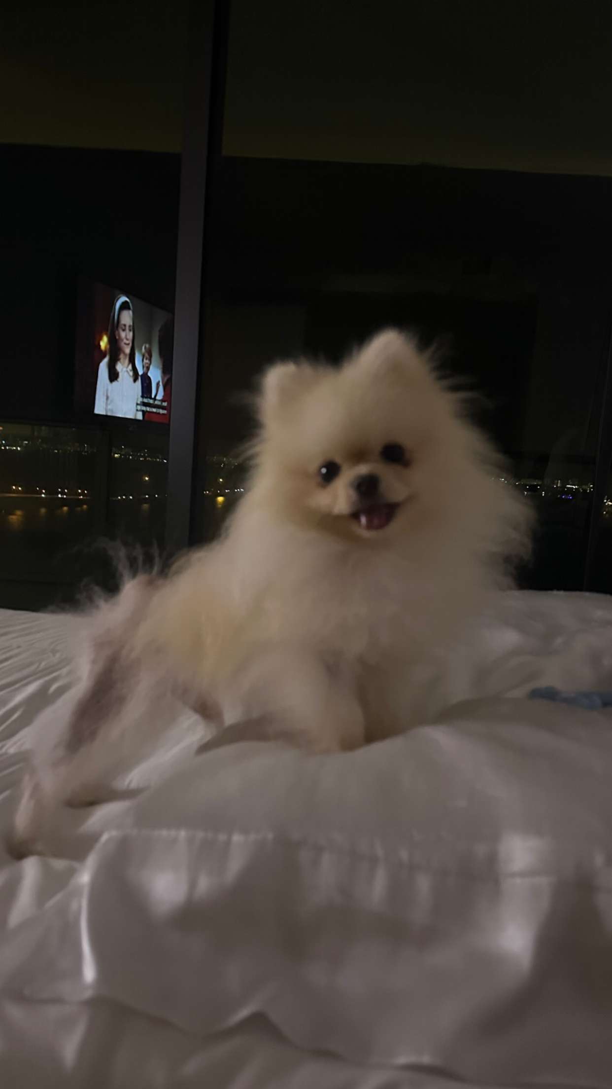 graceboor snapchat image archive image