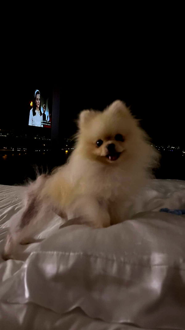 graceboor image ~ Altpins