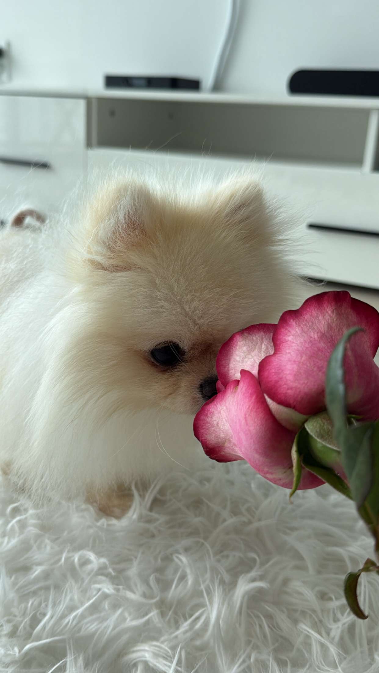 graceboor snapchat image archive image