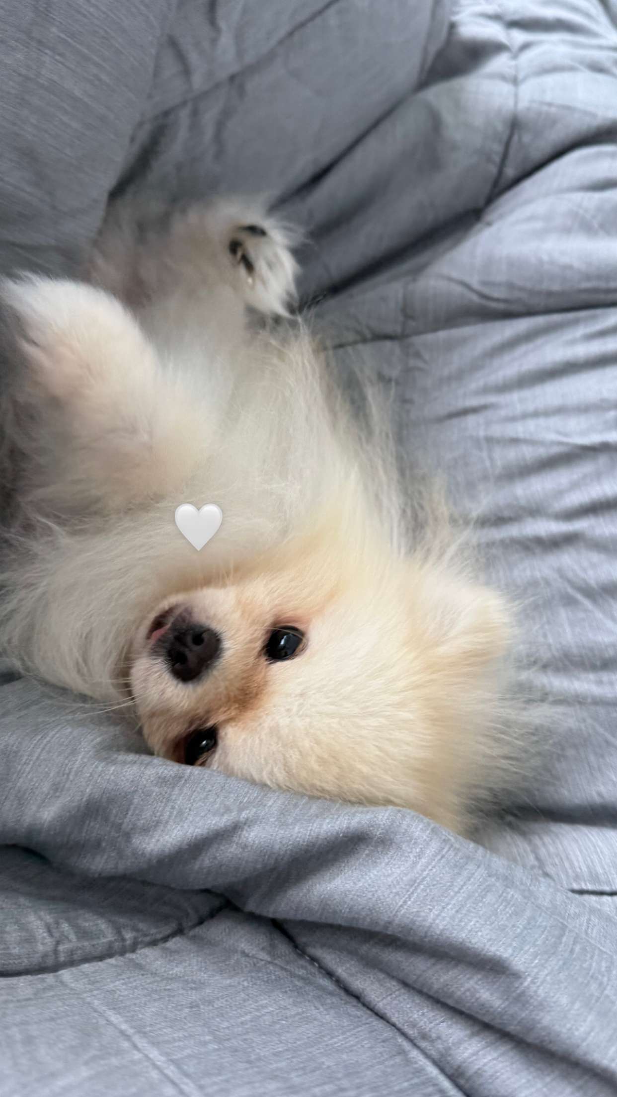 graceboor snapchat image archive image