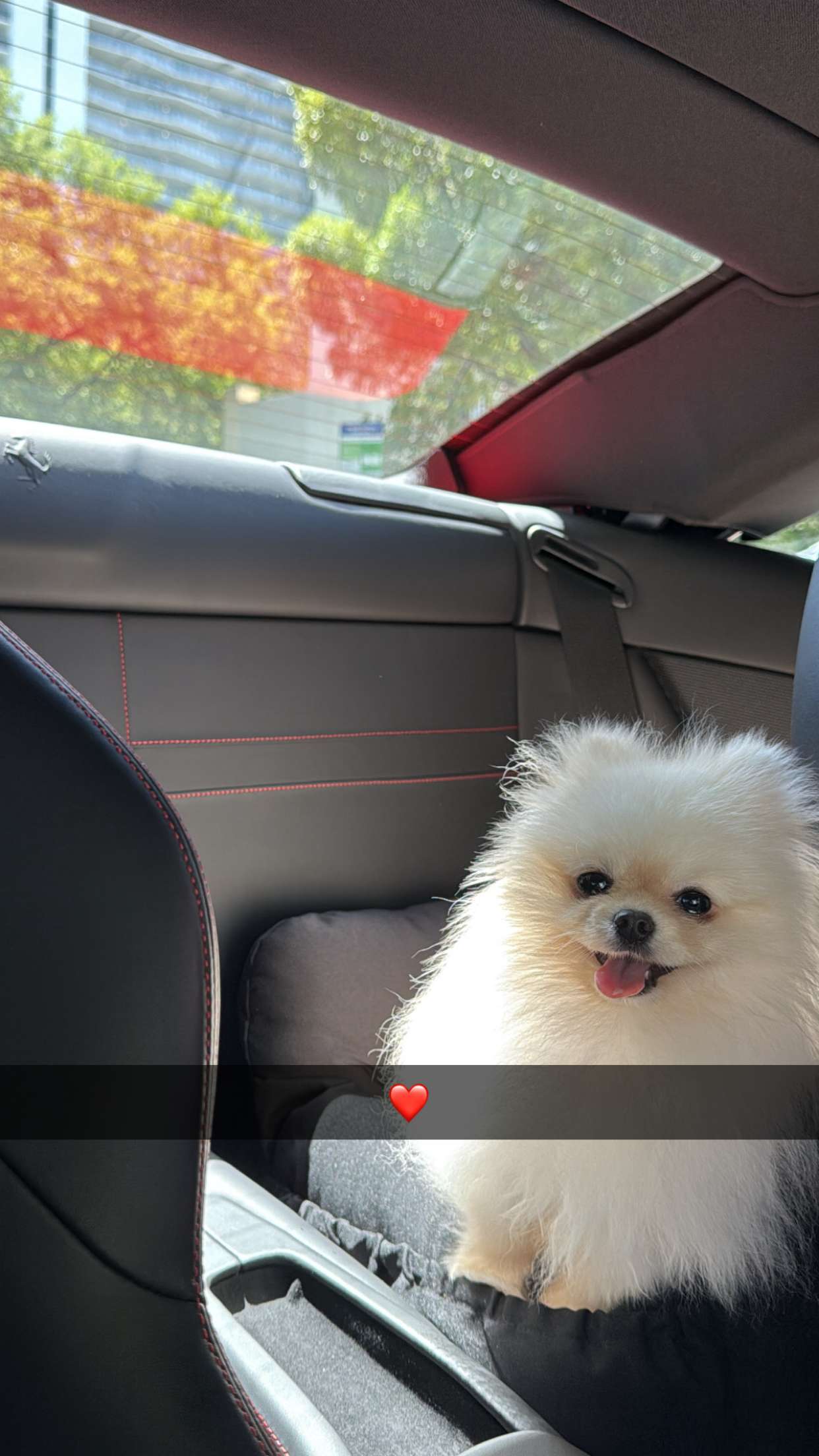 graceboor snapchat image archive image