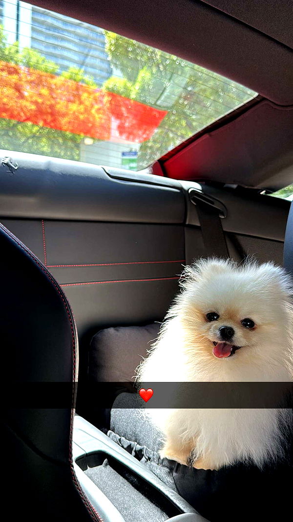 graceboor image ~ Altpins