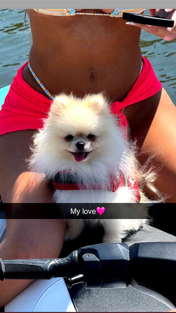 graceboor image ~ Altpins