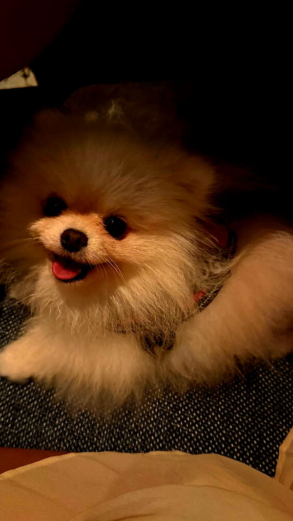 graceboor image ~ Altpins