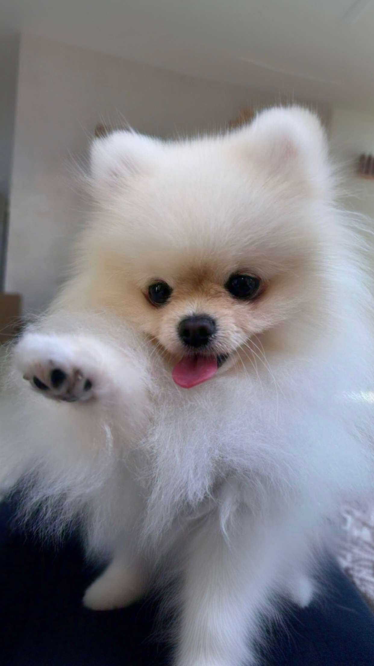 graceboor snapchat image archive image