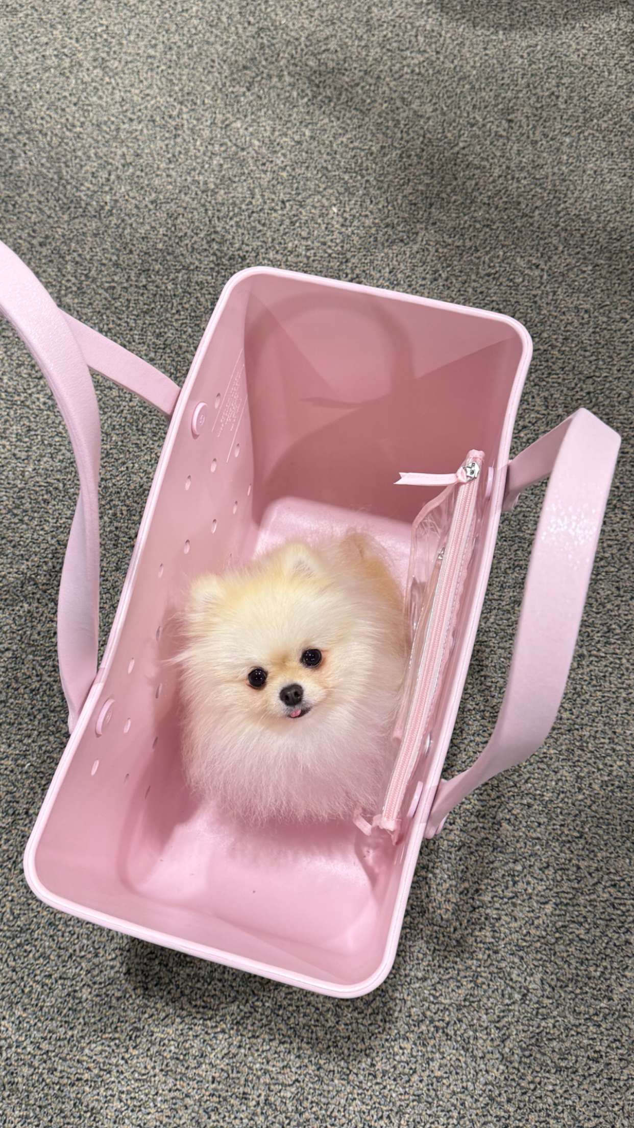 graceboor snapchat image archive image