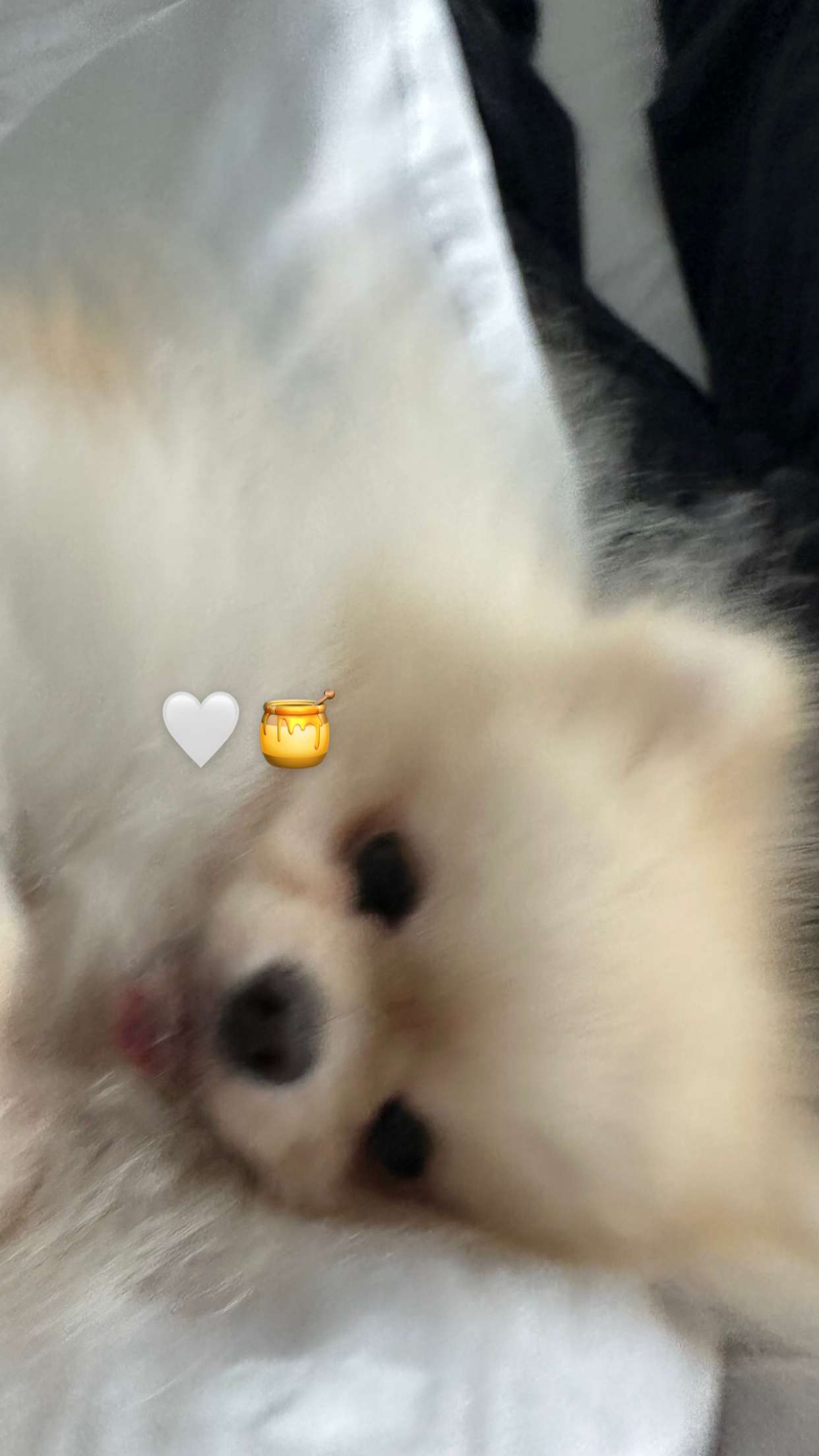 graceboor snapchat image archive image