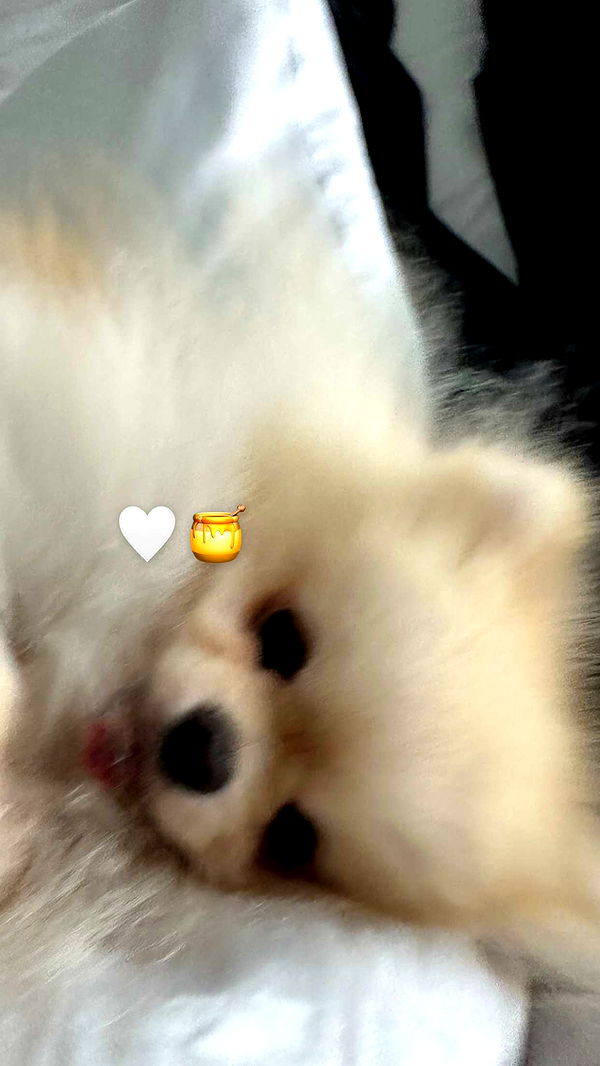 graceboor image ~ Altpins