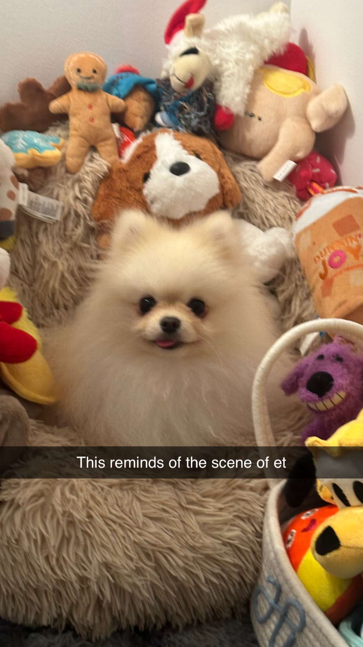 graceboor snapchat image archive image