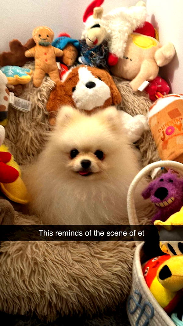 graceboor image ~ Altpins