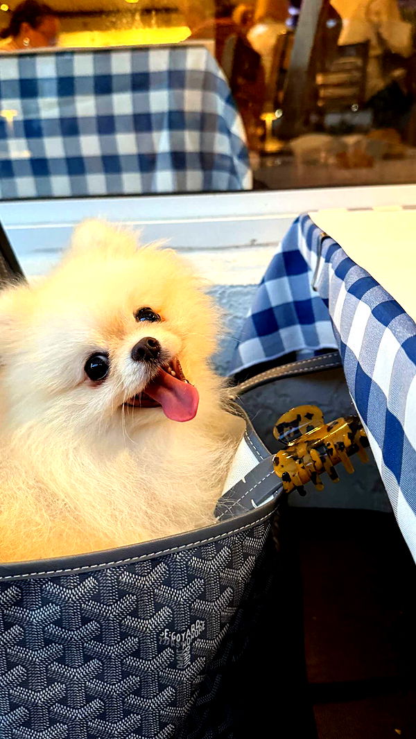 graceboor image ~ Altpins