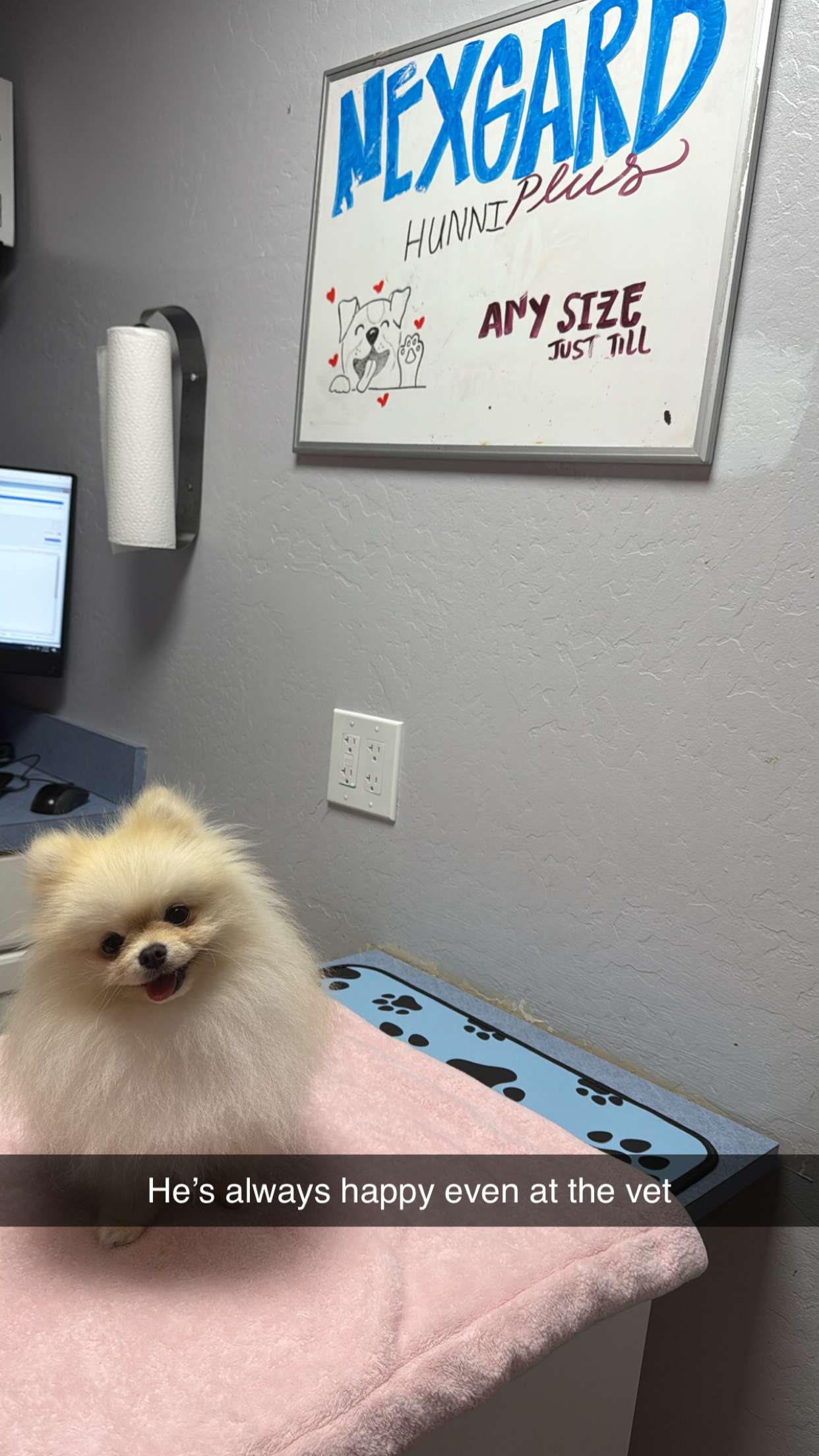 graceboor snapchat image archive image