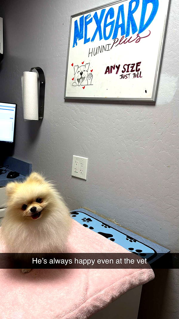 graceboor image ~ Altpins