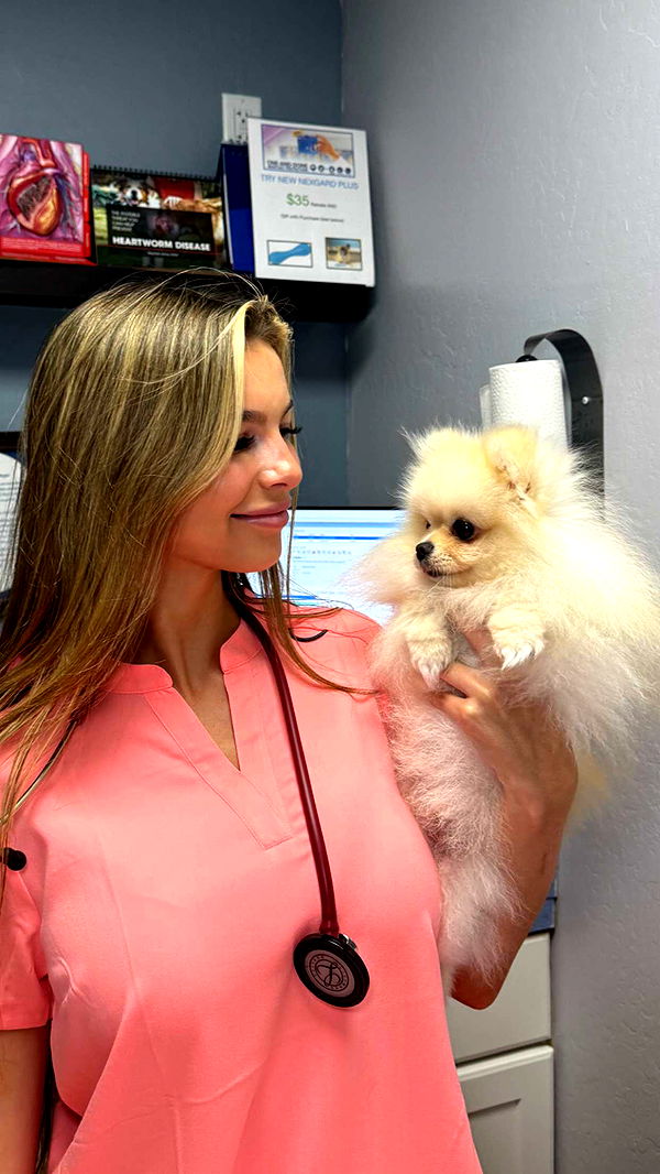 graceboor image ~ Altpins