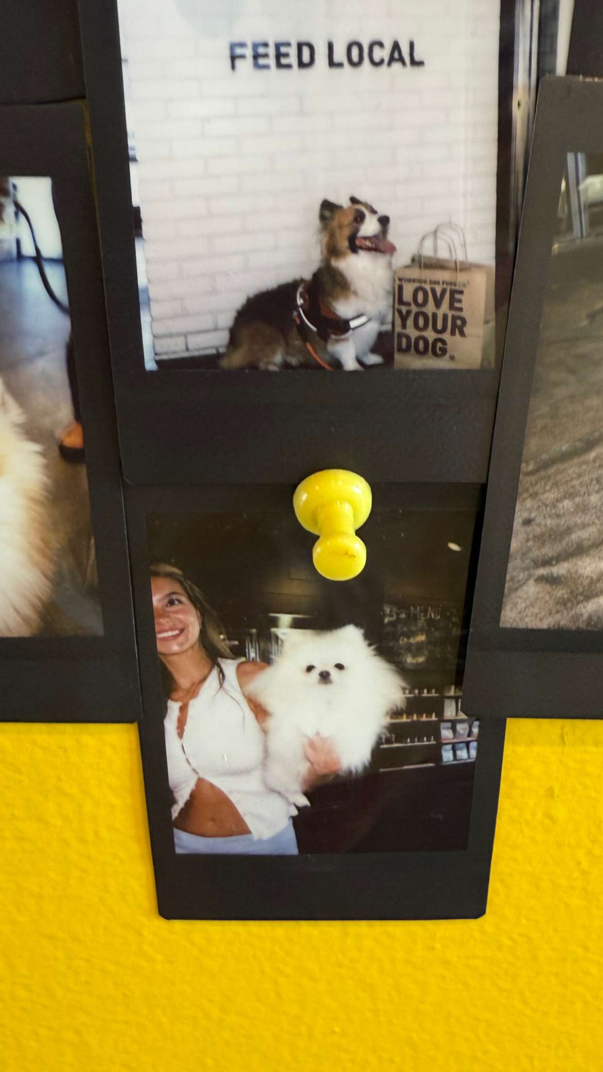 graceboor snapchat image archive image