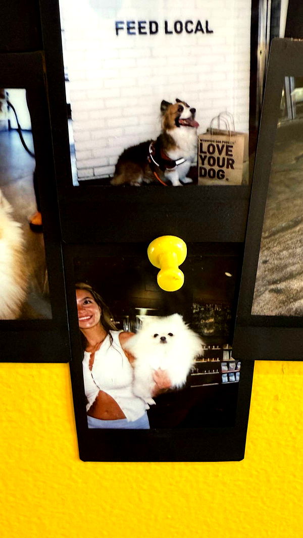 graceboor image ~ Altpins