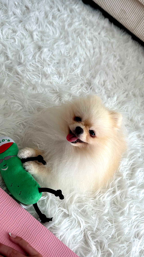 graceboor image ~ Altpins