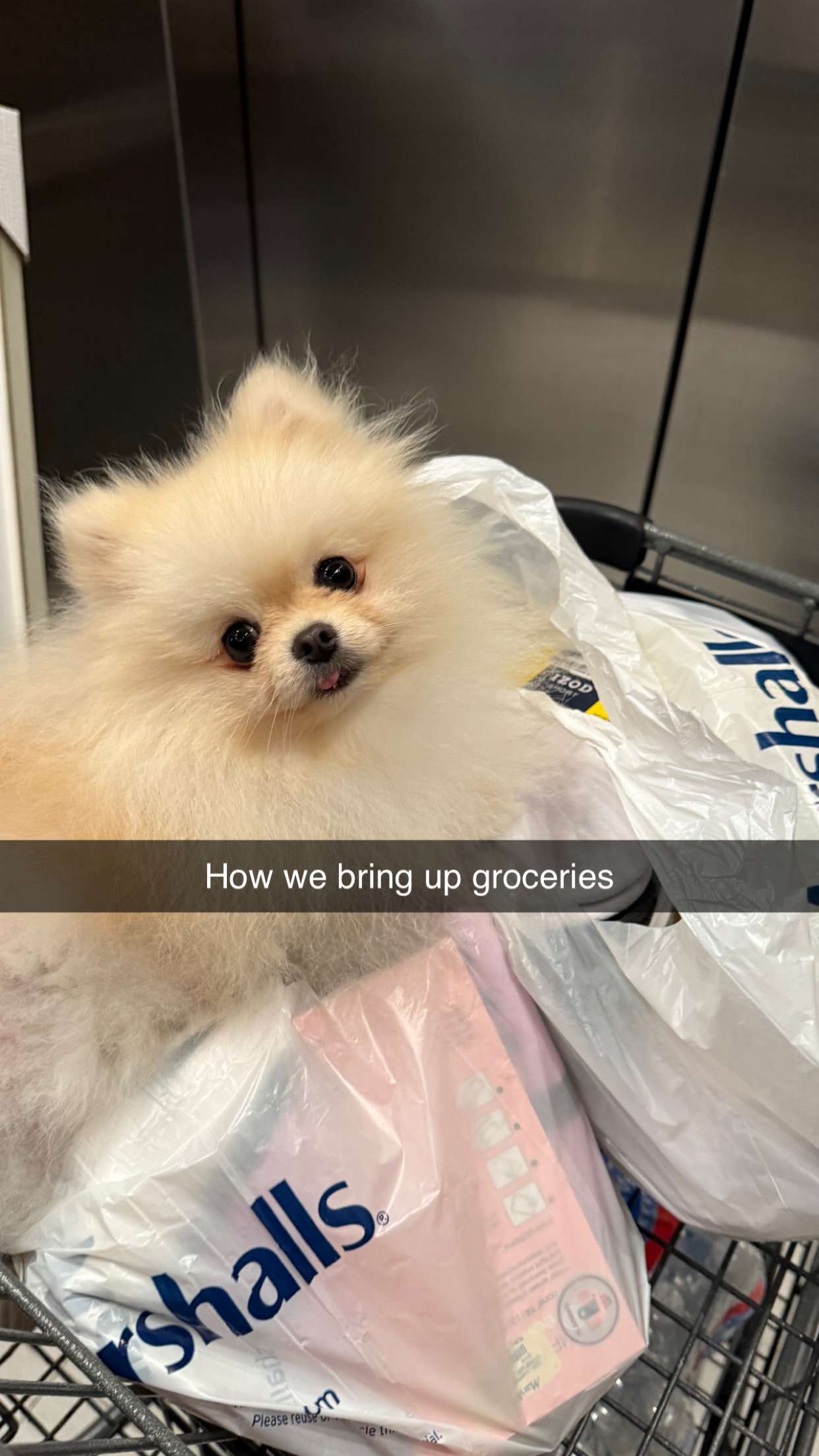 graceboor snapchat image archive image