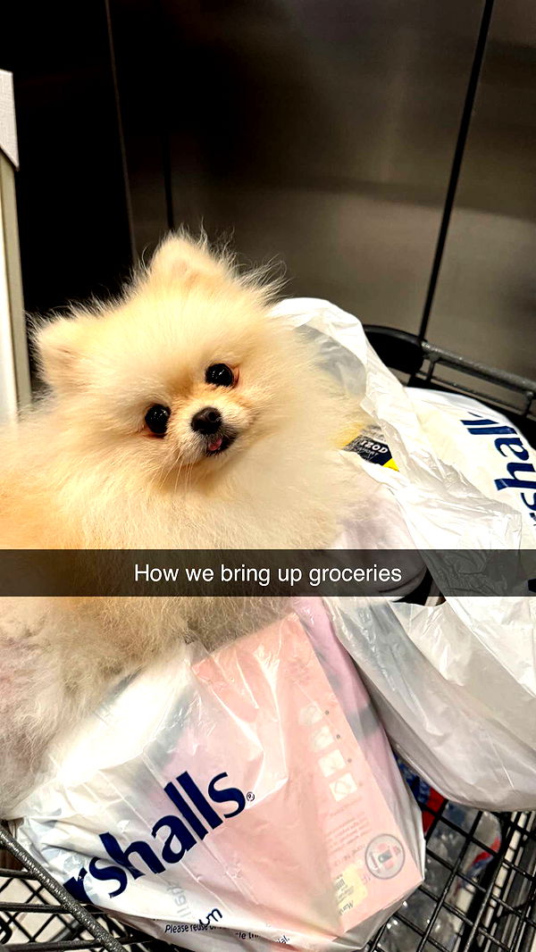 graceboor image ~ Altpins