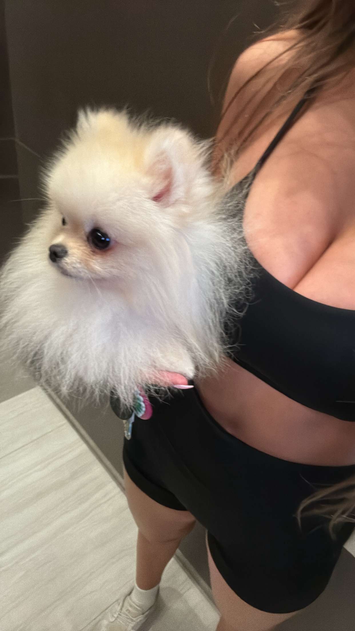 graceboor snapchat image archive image