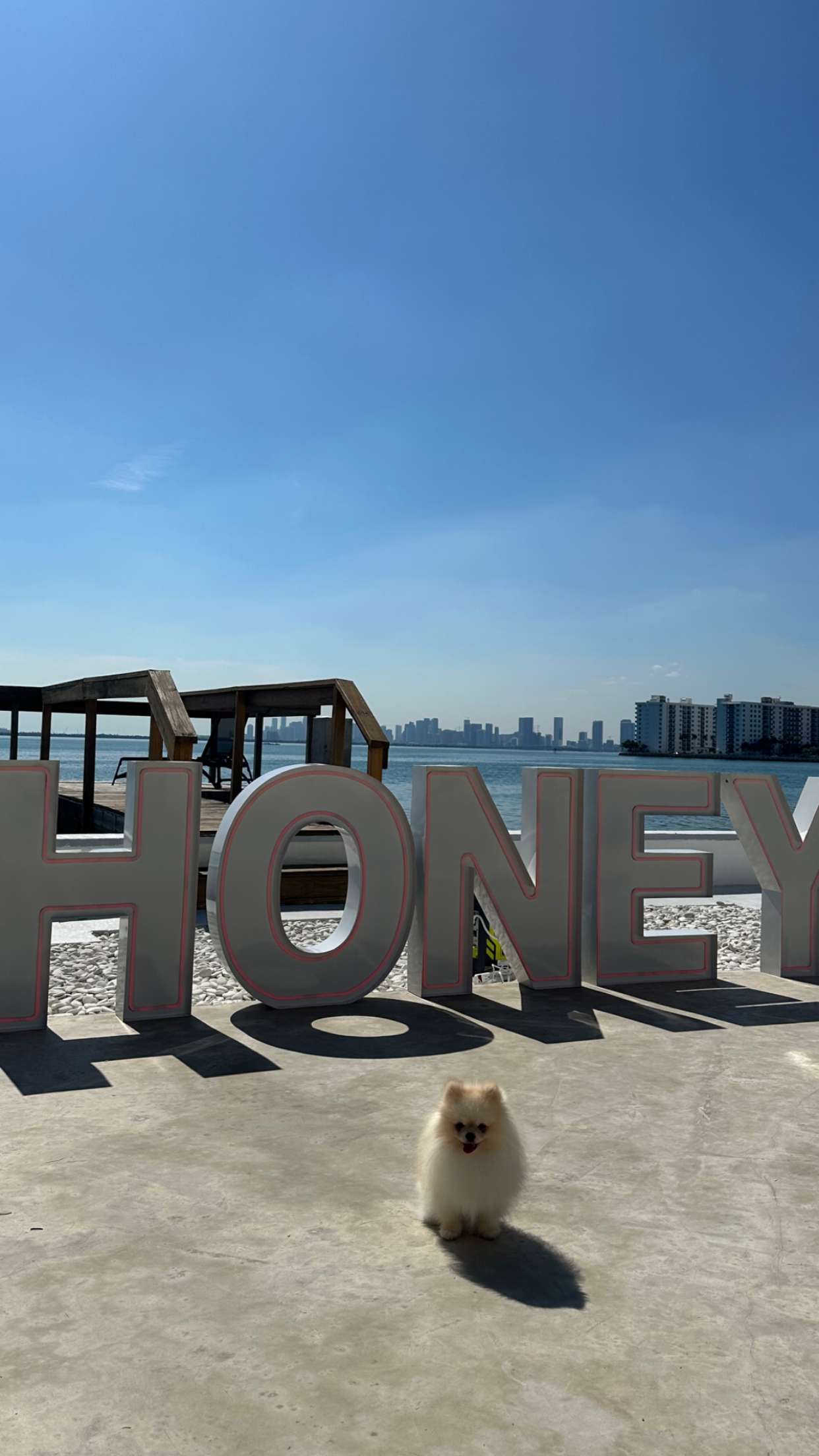 graceboor snapchat image archive image