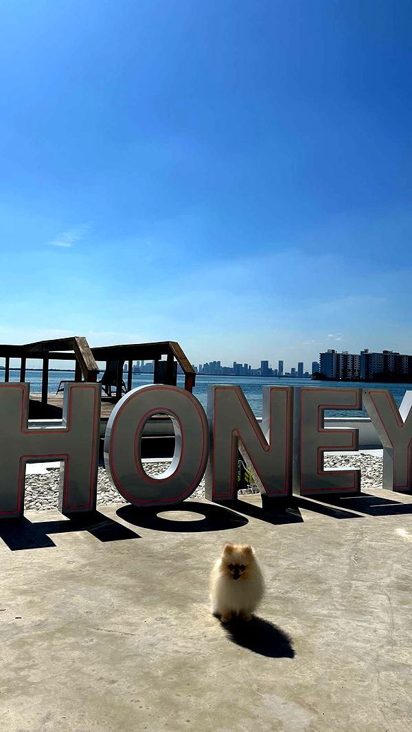 graceboor image ~ Altpins