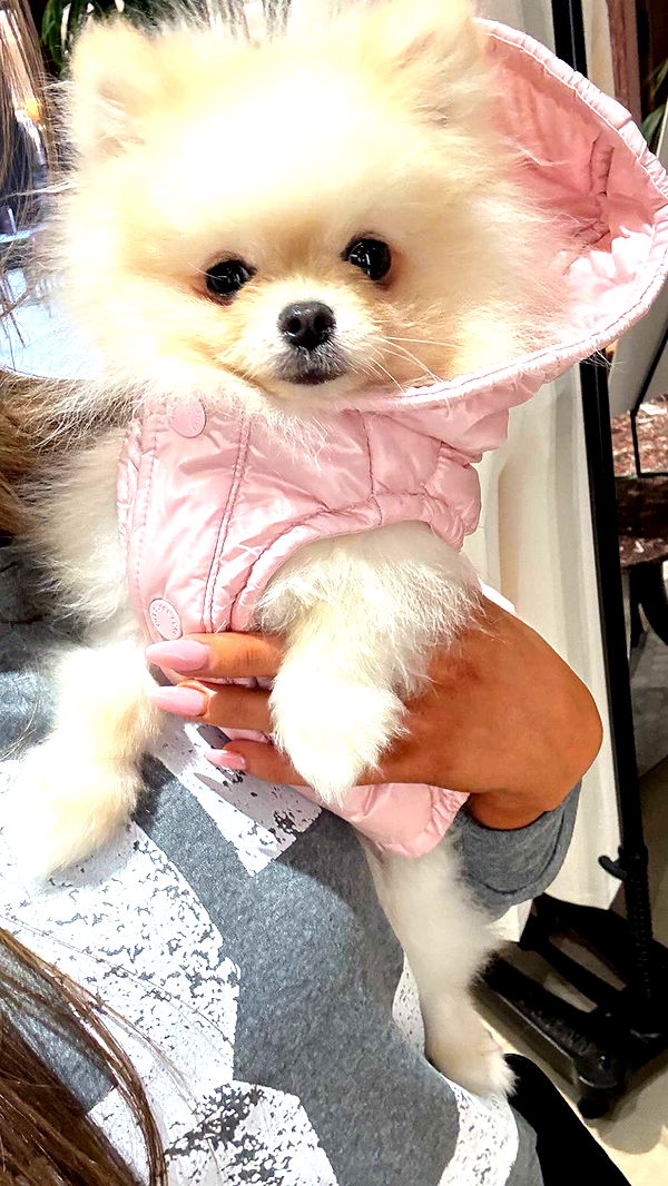 graceboor image ~ Altpins