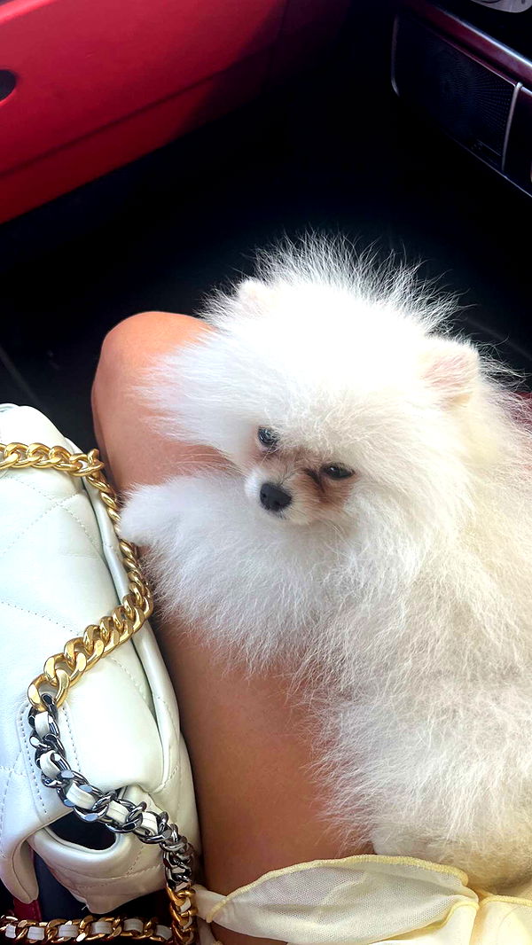 graceboor image ~ Altpins